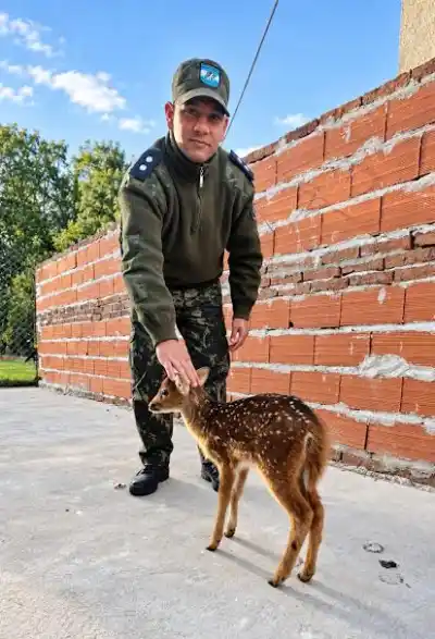 Allanaron dos casas por caza furtiva y se toparon con algo que no esperaban
