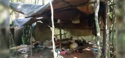 Entraron a un área prohibida de la reserva Yabotí: lo que la Gendarmería encontró escondido en la selva
