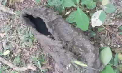 La foto del zapato de Loan que complica a Maciel: la encontraron en dos teléfonos a la vez