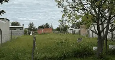 Un lote en barrio Los Cedros será rematado por una cifra millonaria: ¿Quién se quedará con el terreno?