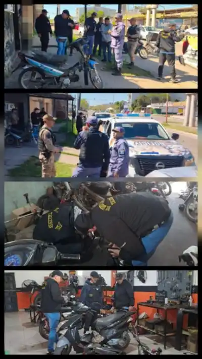 Allanaron cuatro talleres en Resistencia y en uno se toparon con algo que el dueño no pudo explicar