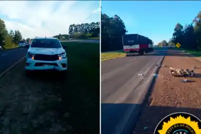 Chocó desde atrás a una moto en la Autovía Artigas: lo que reveló el hospital sobre la conductora