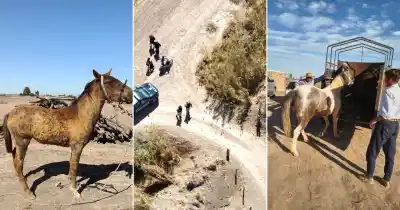 Un transeúnte vio algo raro, la policía voló un dron y lo que halló adentro complicó a una mujer
