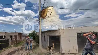 El enjambre que tiene en vilo a un barrio de Alto Comedero: ya hay víctimas