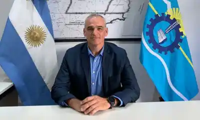 Aparecen ballenas muertas en las costas de Chubut: qué dice el informe oficial sobre la causa