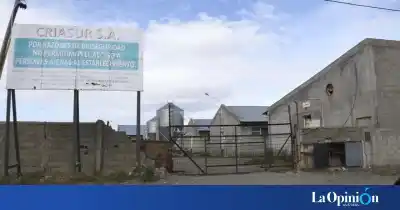 El delito que crece en silencio en Santa Cruz: "Nadie denuncia, todos tienen miedo"
