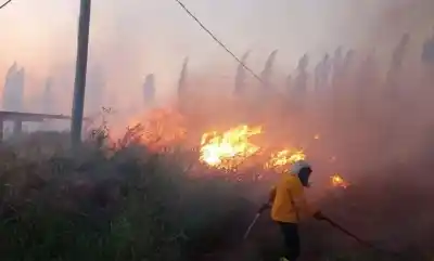 San Juan en alerta naranja por Zonda: lo que se viene este jueves tiene en vilo a todos