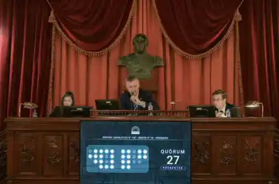 Diputados aprobó la ley que cambia para siempre el vínculo con el Estado: qué dice el texto que ahora mira el Senado