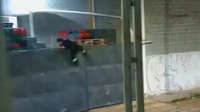 Saltó el paredón del supermercado, pero lo que hizo adentro lo dejó sin escape