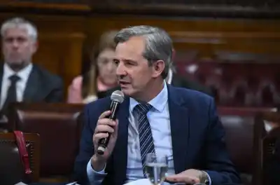 Malvinas: Bahl frenó en seco a los que piden «prudencia» y lanzó una pregunta que incomoda