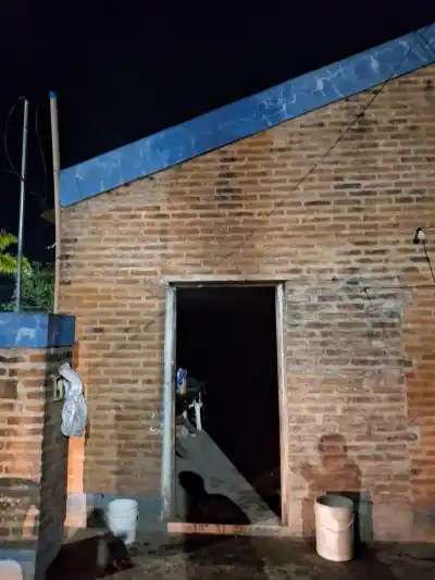 Incendio en Campo Largo: la familia logró salir, pero él quedó adentro