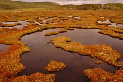 Tres años de estudios en Tierra del Fuego: el detalle que cambiará las calles de Río Grande y Tolhuin
