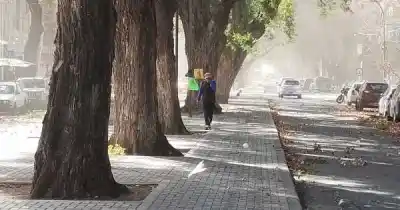 Alerta naranja en Mendoza: la medida que ya rige para este jueves por el Zonda
