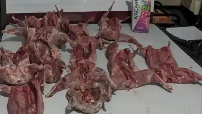 Los frenaron en un control en Difunta Correa y no podían creer lo que llevaban escondido en la caja de vino