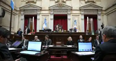 El Senado define el futuro de los subsidios al gas: qué pasará con las facturas en Salta