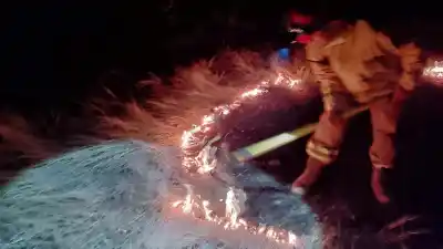 El llamado de una vecina que terminó movilizando a los bomberos de Pomán