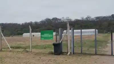 Montaron cinco naves de cultivo en un predio estatal de Palpalá: el papel que nadie puede mostrar