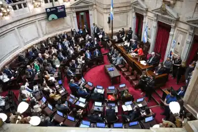 El Senado define el futuro de la Zona Fría y 136 mil hogares pampeanos contienen la respiración