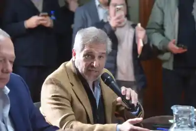Senado bonaerense: el proyecto que cambia el destino de un impuesto rural