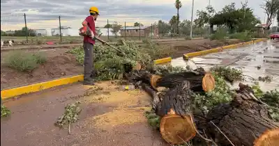El Zonda ya dejó 61 incidentes en Mendoza y todavía falta lo peor: dónde golpeará esta tarde