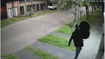 Escuchó un golpe en la puerta, salió a mirar y la escena la dejó helada