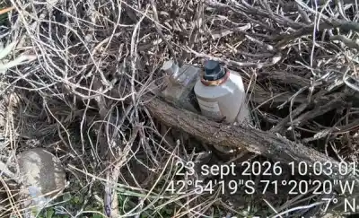 Brigadistas podaban en La Zeta y se toparon con algo que no era basura