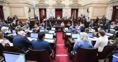El Senado define hoy un cambio clave para las boletas de luz del Norte: la advertencia de Sáenz a los que no voten