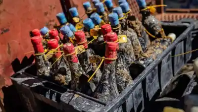 Río Negro busca bodegas para sumergir vinos en el mar: el requisito que pocos conocen