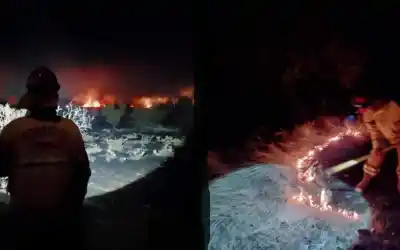 Una vecina vio algo raro en la Ruta 46 y dio el aviso: dos horas después, los bomberos respiraron