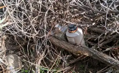 Encontraron un artefacto oculto en una reserva de Chubut: qué había adentro y por qué activó las alarmas