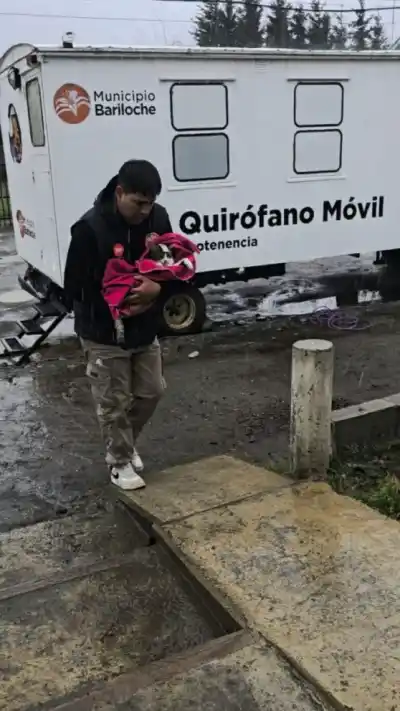 Los 208 turnos volaron en El Frutillar y Sanidad Animal ya tomó una decisión