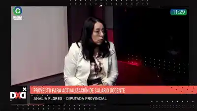 Zdero quiere atar el salario docente a la recaudación: la advertencia de una diputada chaqueña