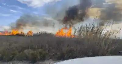 Alerta por Zonda en San Juan: combaten focos de incendio en Médano de Oro y piden no encender fuego "bajo ninguna circunstancia"