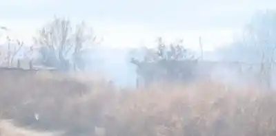 El Zonda complica a los bomberos en el Médano de Oro: el fuego llegó a metros de una casa