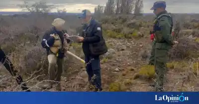 Una denuncia anónima destapó lo que seis pescadores hacían a orillas del lago Buenos Aires
