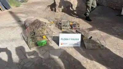 Entraron a dos casas de Rawson y Chimbas y se encontraron con lo que nadie esperaba