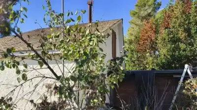 Un médico famoso murió en su casa de España y su familia siguió viviendo ahí: el detalle que nadie vio durante dos años
