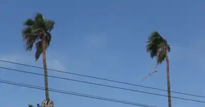 El Zonda desató focos de incendio en Rawson: lo que hallaron cerca de las casas