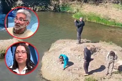 Paraná tuvo mar cálido y ballenas: lo que un hallazgo en el oeste volvió a destapar