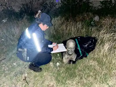 Villa Mercedes: dos tipos escapaban con un bulto y la Policía no podía creer lo que había adentro