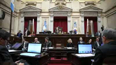 El beneficio que llegó en 2021 y hoy está en la cuerda floja: qué se define en el Senado