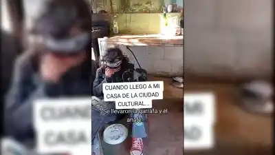 Volvió a su casa para cocinarles a los estudiantes y se encontró con un panorama que lo dejó sin palabras