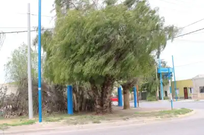 Roca bajo alerta por ráfagas de 70 km/h: Bomberos pide revisar balcones y patios antes de que sea tarde