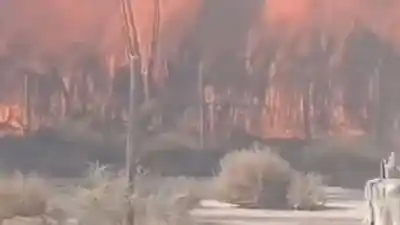El Zonda encendió las alarmas en San Juan: vecinos con baldes y mangueras frente a dos incendios