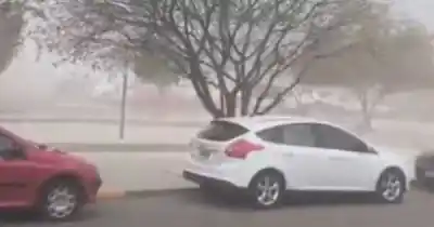 El Zonda desató el caos en Guaymallén: más de 100 salidas de emergencia y lo que encontraron en las casas