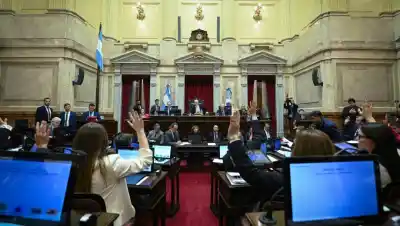 El Senado aprobó la reforma de Zona Fría: así votaron los patagónicos y quiénes se borraron