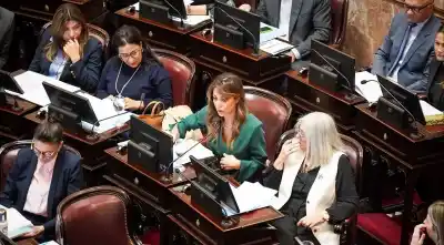 Royón acompañó la reforma del BCRA pero frenó cuatro artículos: el motivo que incomodó al Senado