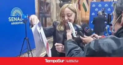 Alicia Kirchner lanzó una advertencia que golpea directo al bolsillo de los santacruceños