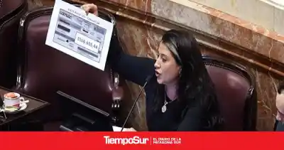 Una senadora patagónica estalló contra la reforma de gas: "Me parece imperdonable"