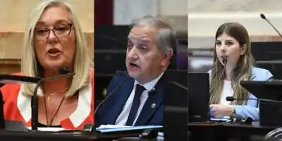 El Senado metió mano en el gas de la Patagonia: qué hicieron los tres senadores de Chubut